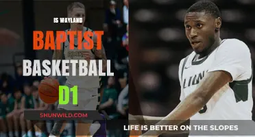 Wayland Baptist Basketball: D1 Dreams?