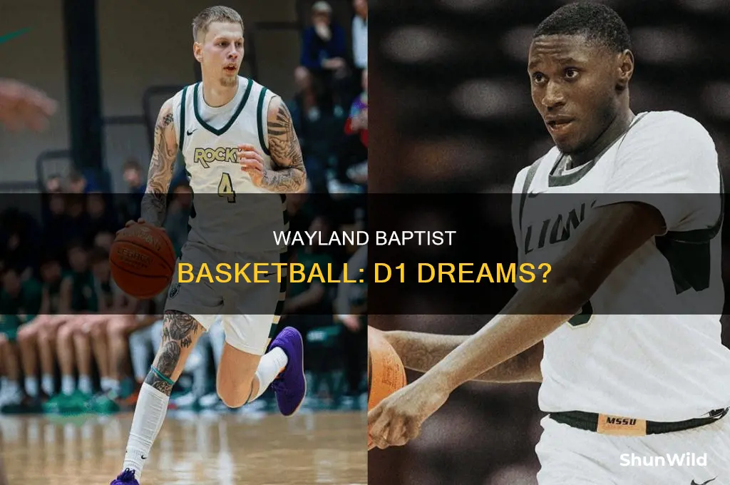 is wayland baptist basketball d1