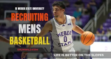Weber State University Recruiting: Men's Basketball Tryouts