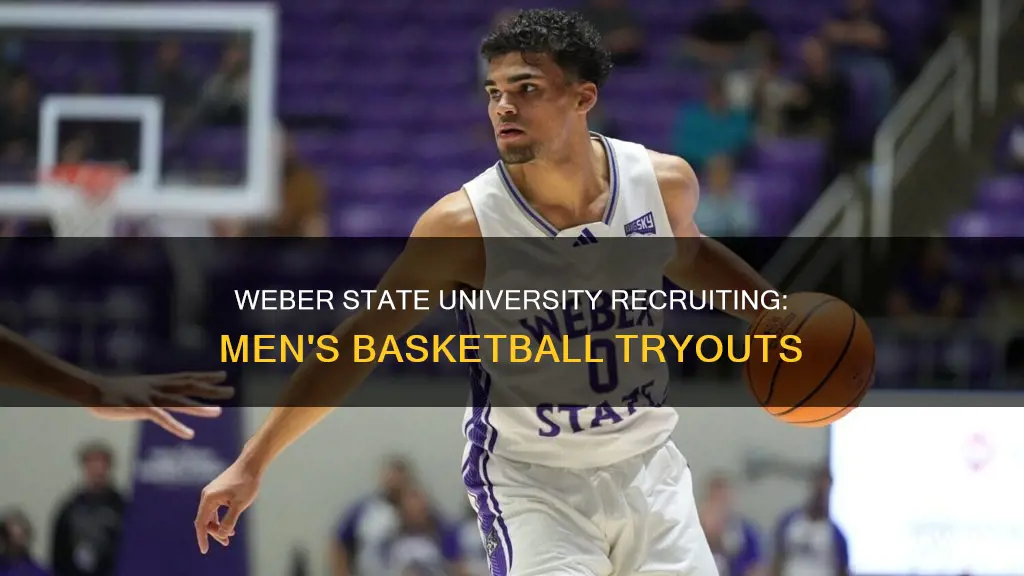 is weber state university recruiting mens basketball