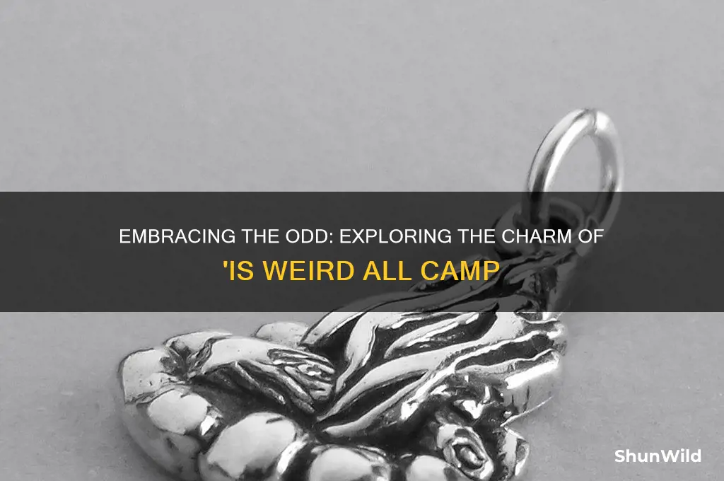 is weird all camp