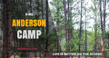 Is Wes Anderson's Cinematic Style Camp or Just Quirky?