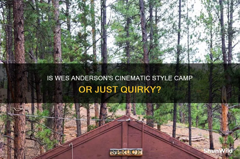 is wes anderson camp