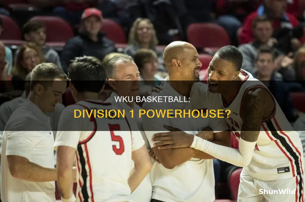 is western kentucky basketball division 1