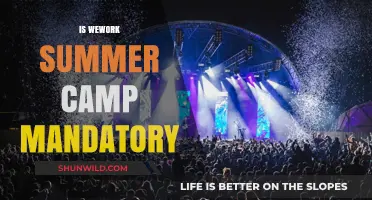 Is WeWork Summer Camp Mandatory? What You Need to Know