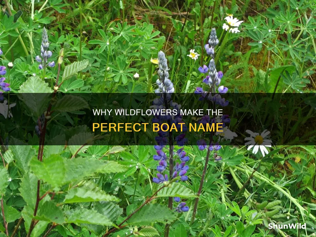 is wildflowers a good name for a boat