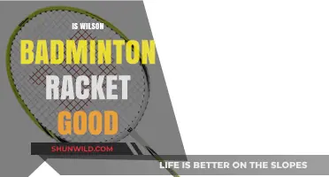 Wilson Badminton Rackets: Are They Worth the Hype?