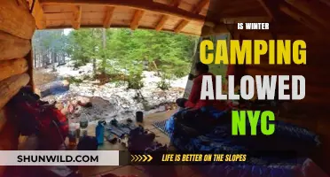Winter Camping in NYC: Rules, Permits, and Best Spots to Stay