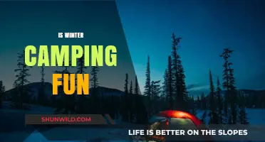 Winter Camping: A Chilling Adventure or Frosty Fun?