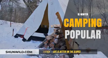 Is Winter Camping Popular? Exploring the Chilly Outdoor Trend
