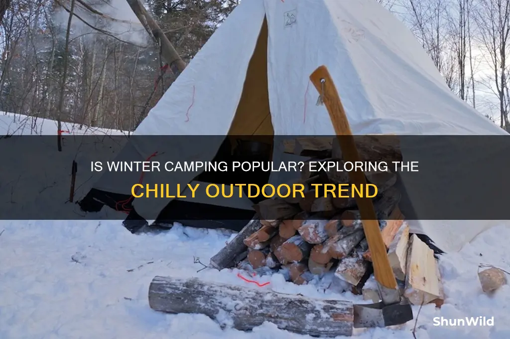 is winter camping popular