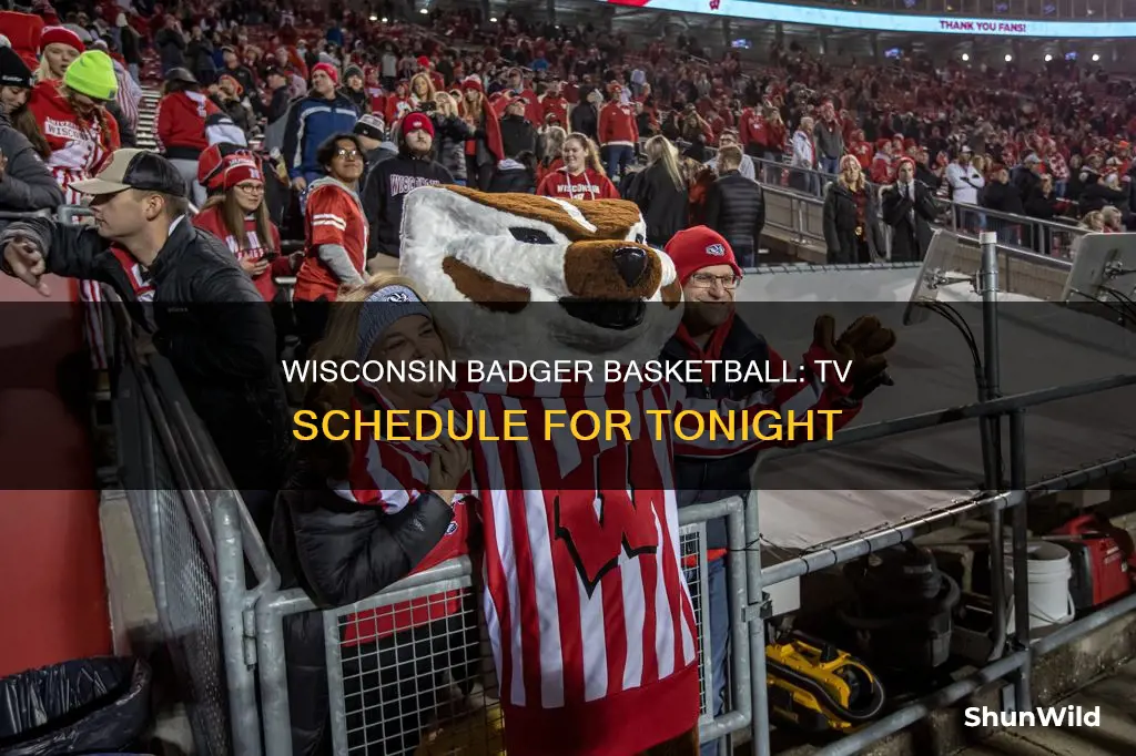 is wisconsin badger basketball on tv tonight