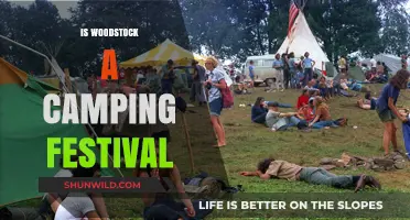Woodstock: A Camping Festival or Just a Legendary Music Event?