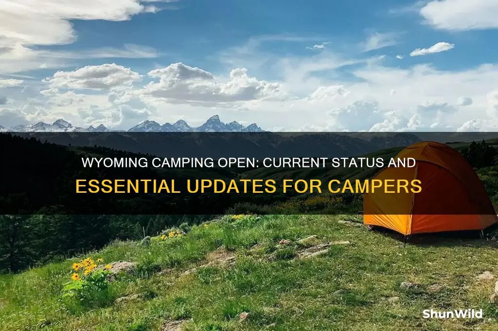 is wyoming camping open