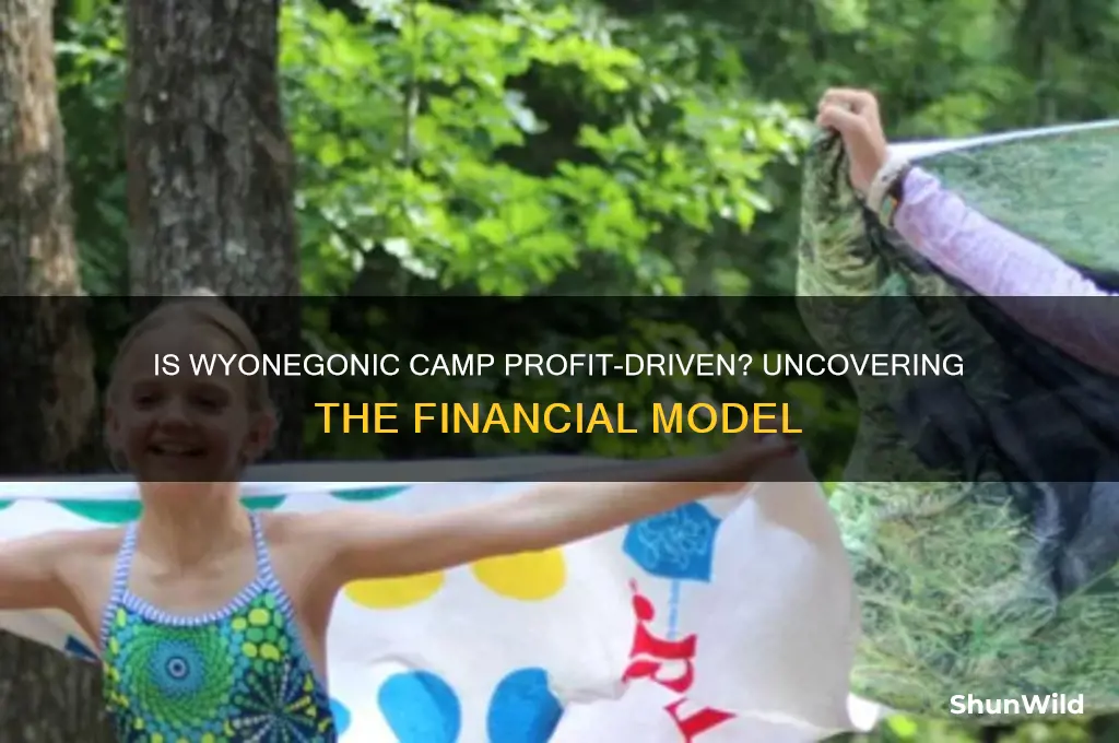 is wyonegonic camp for profit