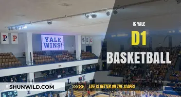 Yale Basketball: D1 Status and Success