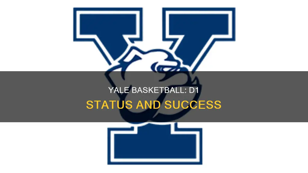 is yale d1 basketball