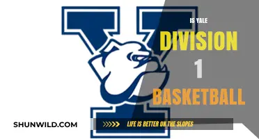 Yale's Basketball Team: Division 1 Champions