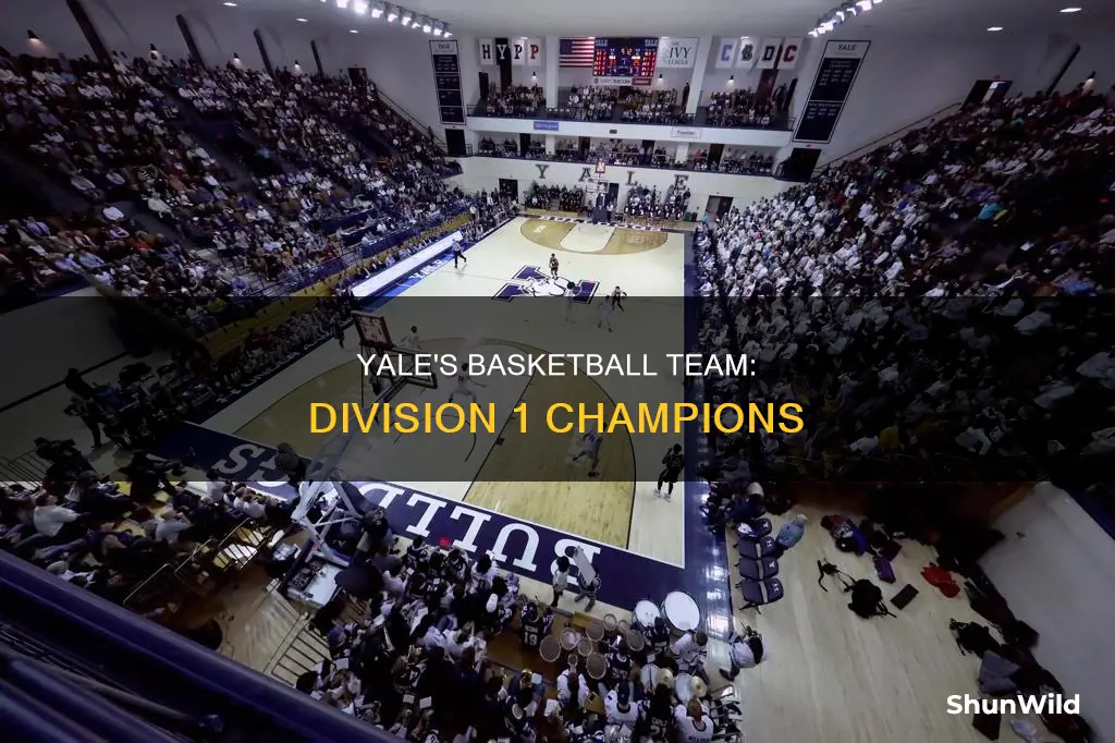 is yale division 1 basketball