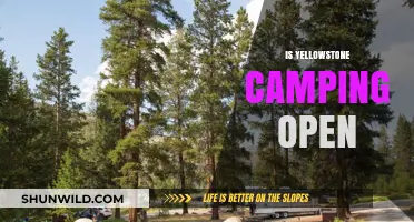 Is Yellowstone Camping Open? 2023 Season Updates & Essential Tips