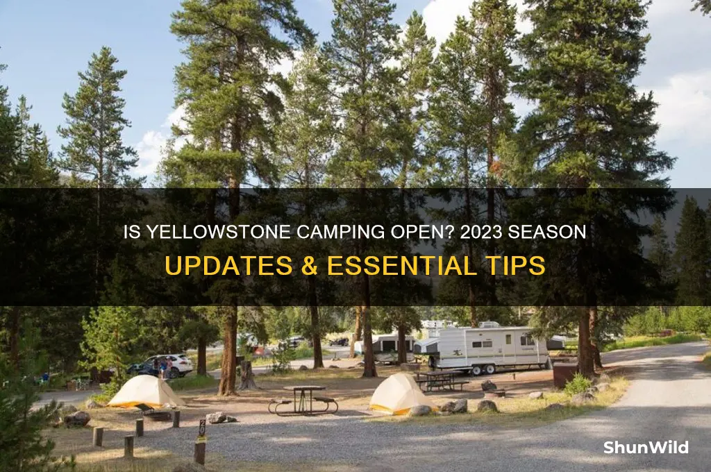 is yellowstone camping open