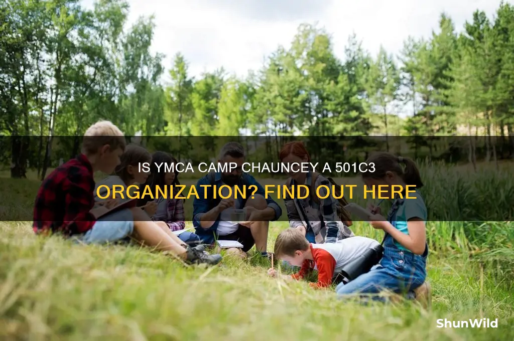 is ymca camp chauncey 501c3