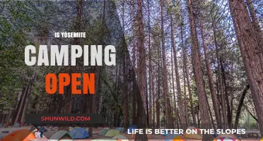 Is Yosemite Camping Open? Current Status and Essential Updates