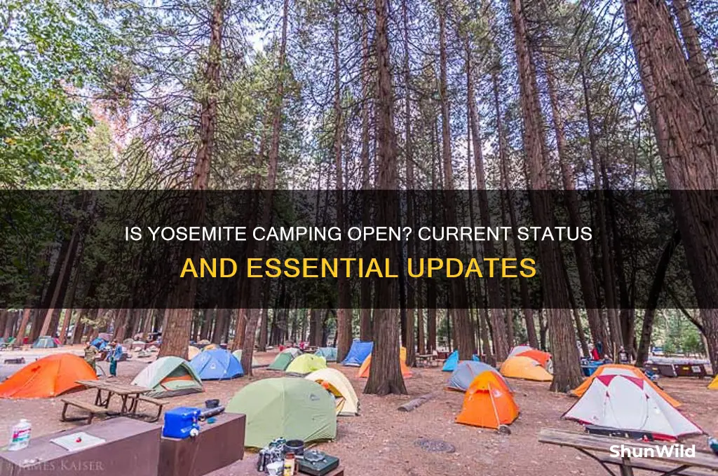is yosemite camping open