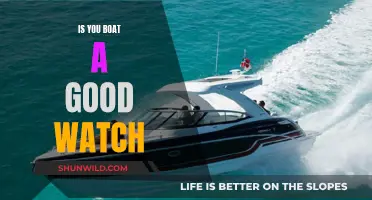 Boat Watch: Is It Worth Your Time?