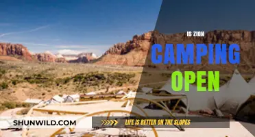 Is Zion Camping Open? Your Guide to Current Status and Tips
