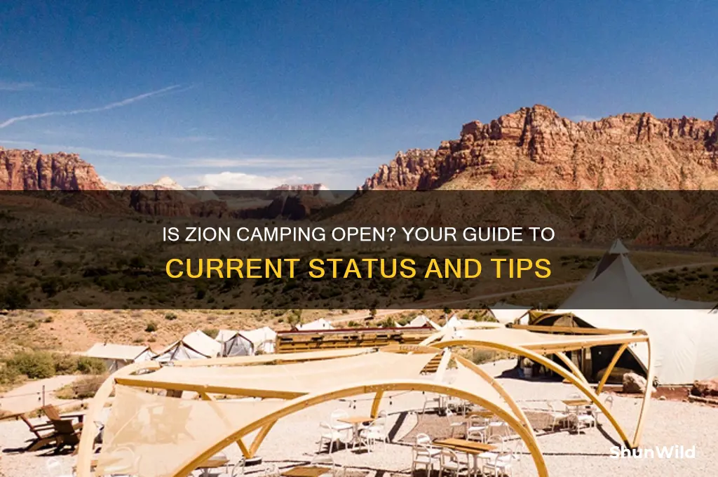 is zion camping open