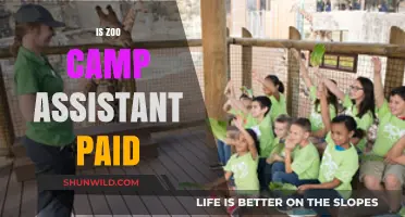 Is Being a Zoo Camp Assistant a Paid Position? Find Out Here