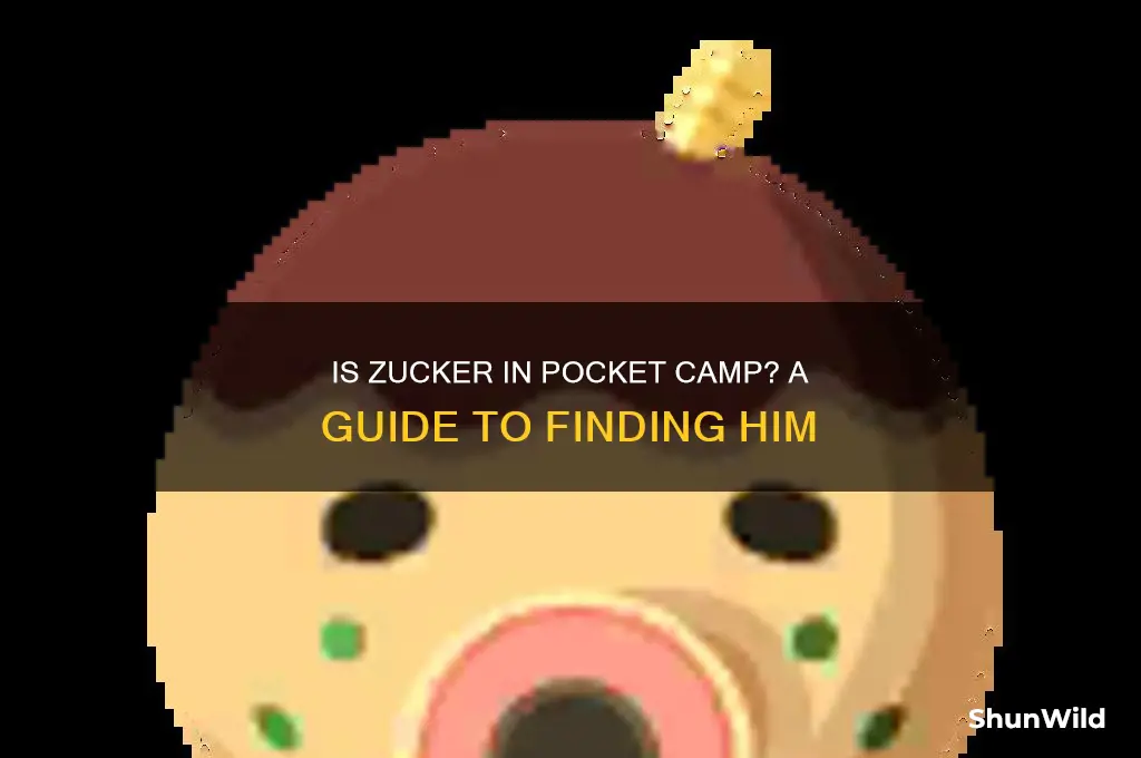 is zucker in pocket camp