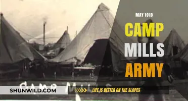 Camp Mills Army's Historic Role in May 1919 Unveiled