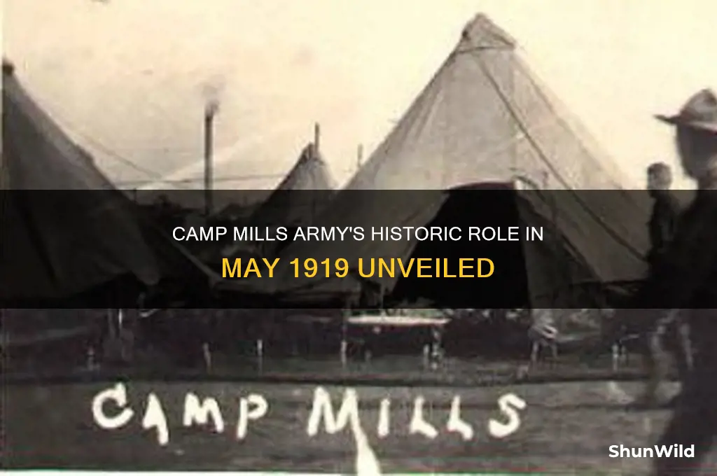 may 1919 camp mills army