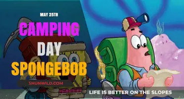 Celebrate May 25th: Spongebob's Camping Day Adventure Ideas & Fun