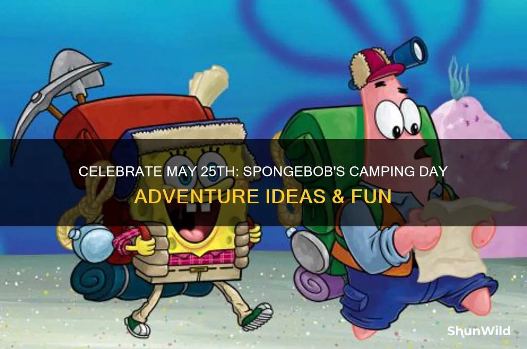 may 25th camping day spongebob