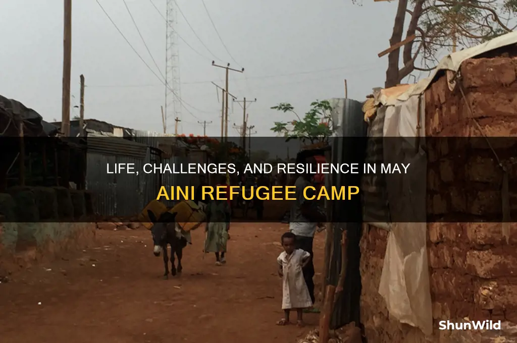 may aini refugee camp