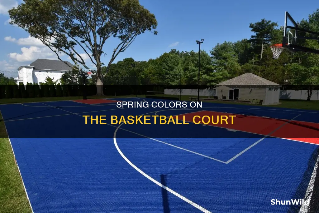 may basketball colors