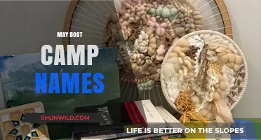 Creative May Boot Camp Names to Inspire Your Fitness Journey