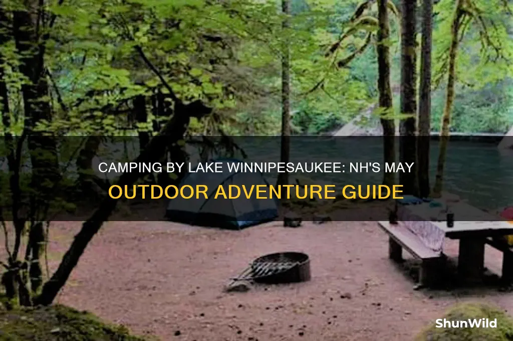 may camping lake winnipesaukee nh