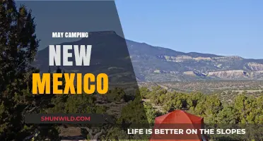 Exploring New Mexico's May Camping: Top Spots and Tips