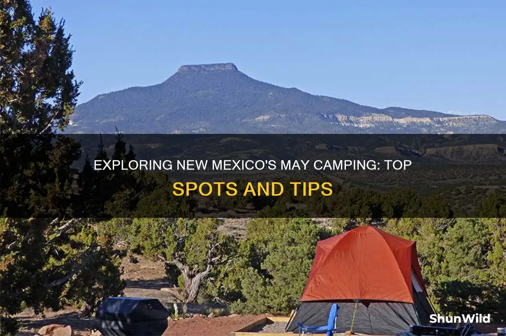 may camping new mexico