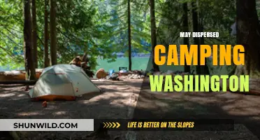 Discover Dispersed Camping in Washington: Tips, Locations, and Essentials