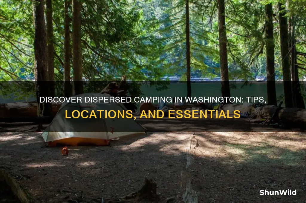 may dispersed camping washington