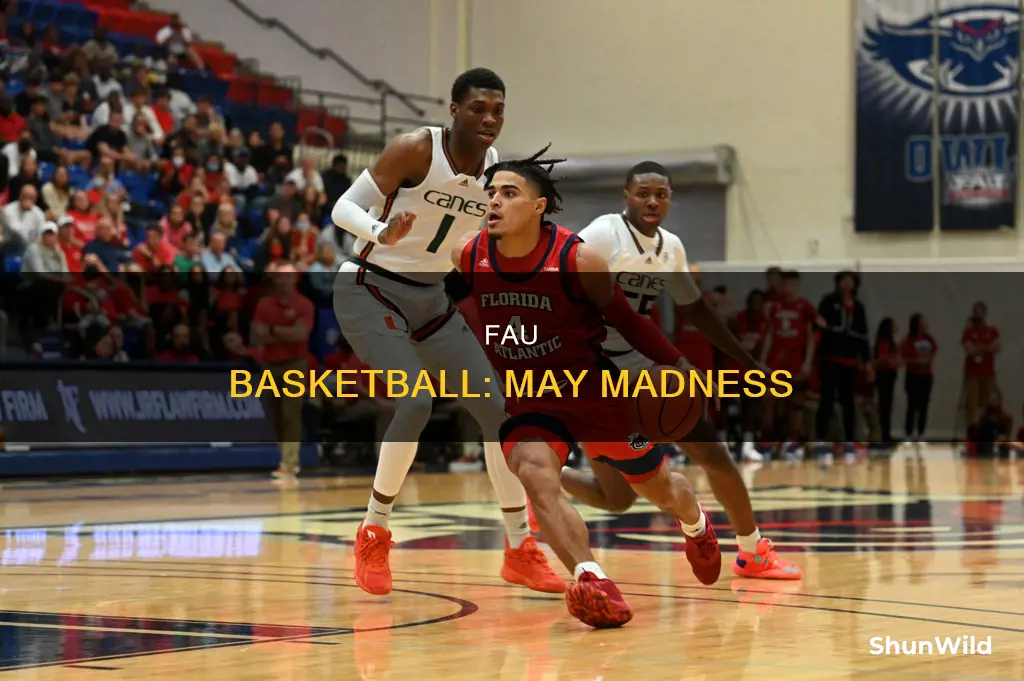 may fau basketball