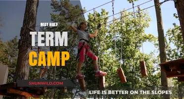 Exciting May Half Term Camp Adventures for Kids: Fun & Learning!