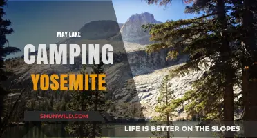 Yosemite's May Lake Camping: A Serene High Sierra Adventure Guide