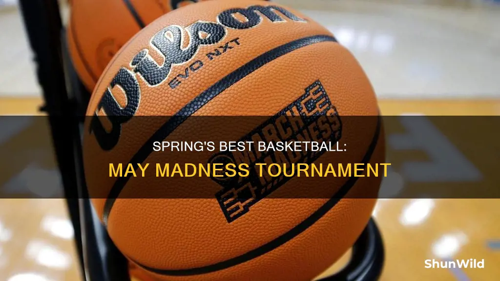 may madness basketball tournament