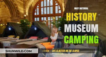 Camp Under the Stars at the Natural History Museum